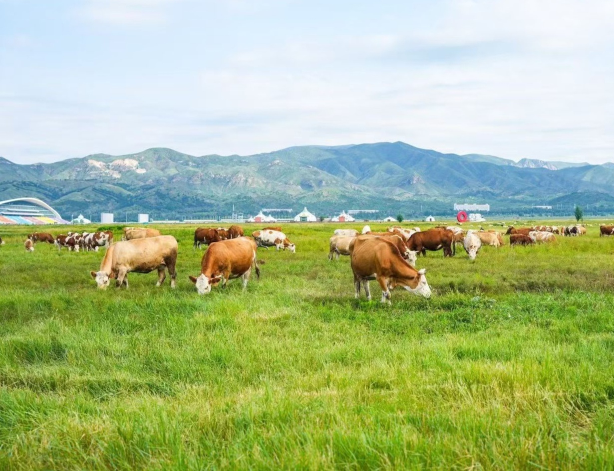 e2f304c32132d7b87ad116f46b020e1b